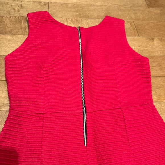 Zara Basic Magenta Pencil Dress with Zip up Back and Horizontal Lining - Picture 6 of 7